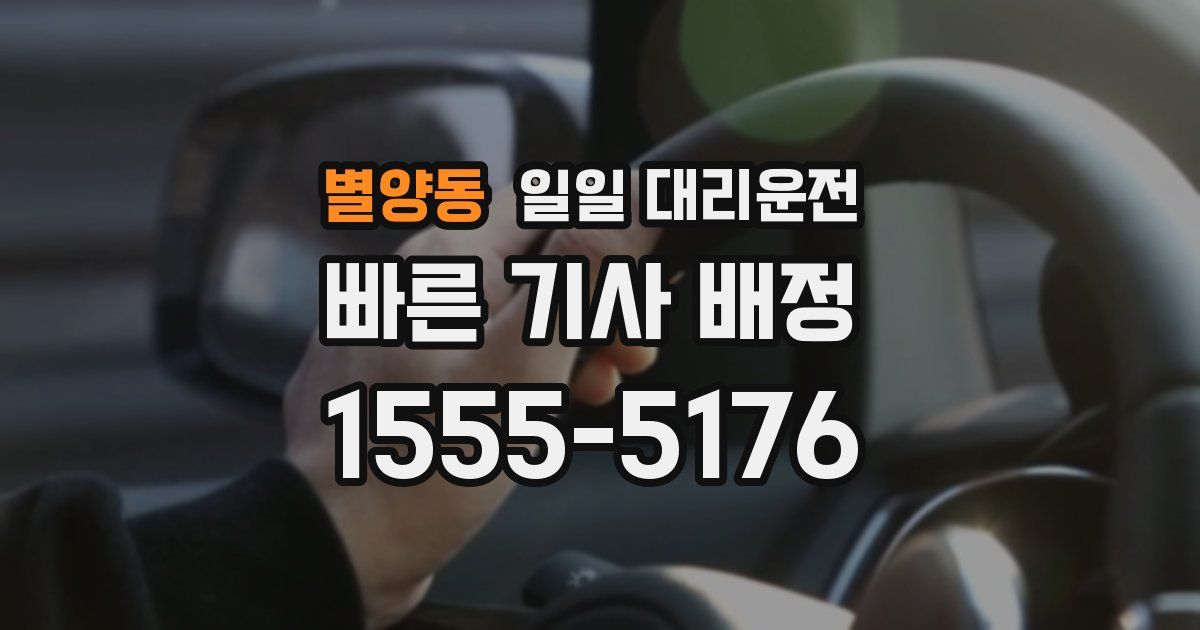 별양동 일일 대리운전