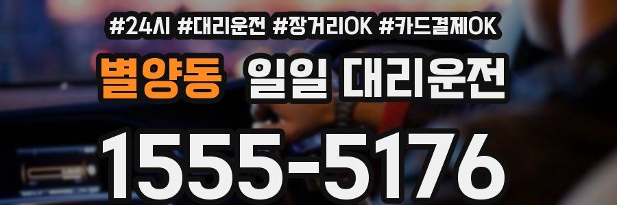 별양동 일일 대리운전