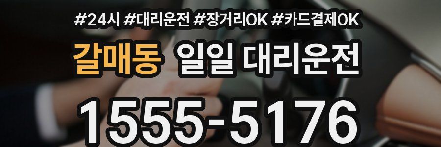 갈매동 일일 대리운전
