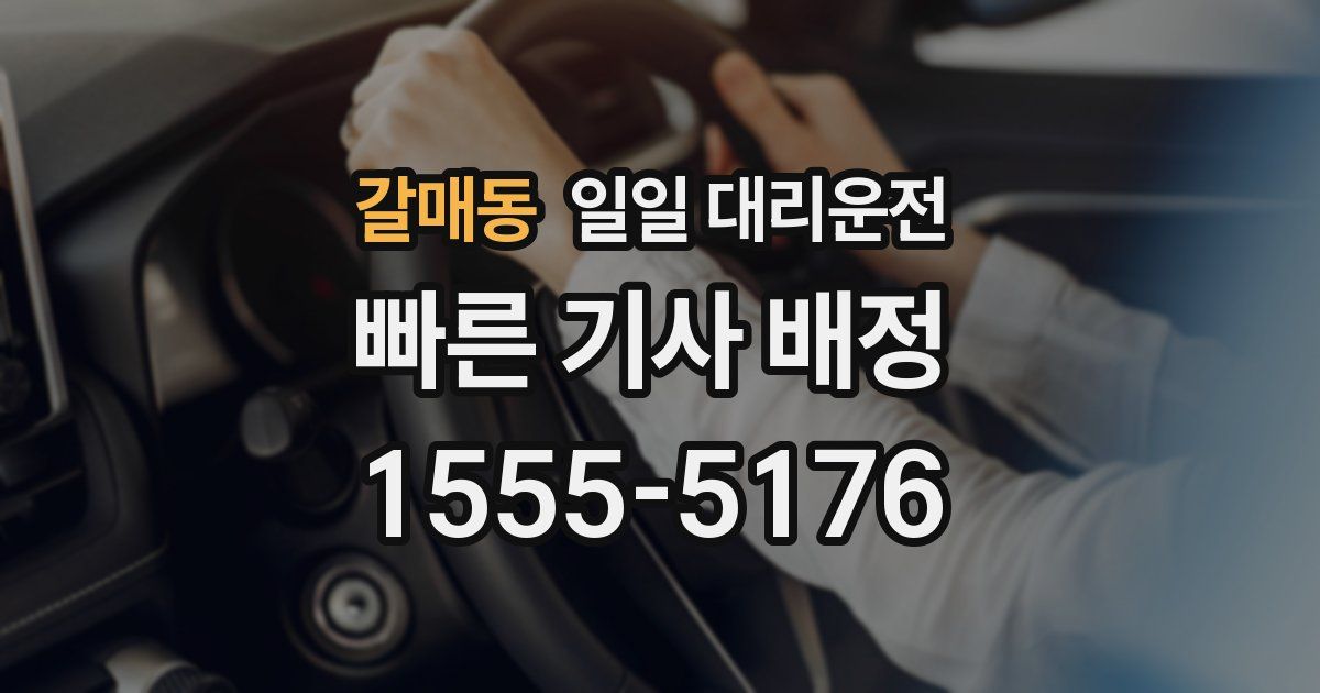 갈매동 일일 대리운전