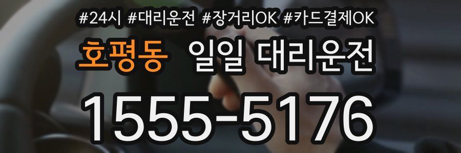 호평동 일일 대리운전