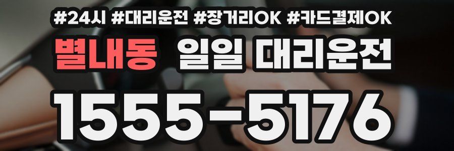 별내동 일일 대리운전