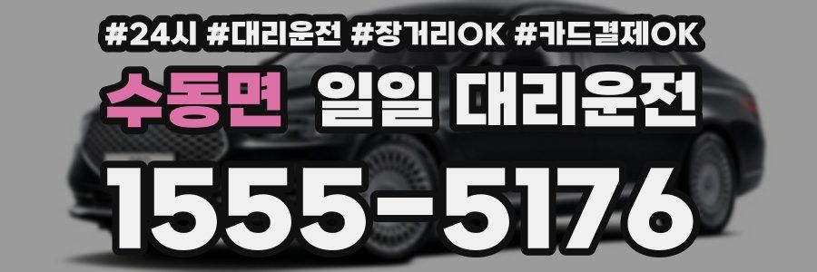 수동면 일일 대리운전