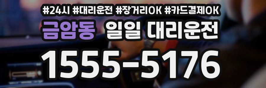 금암동 일일 대리운전