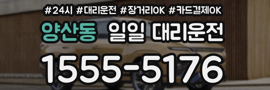 양산동 일일 대리운전