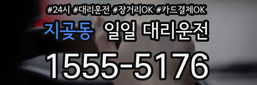 지곶동 일일 대리운전