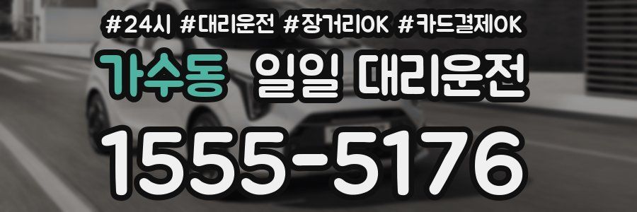 가수동 일일 대리운전