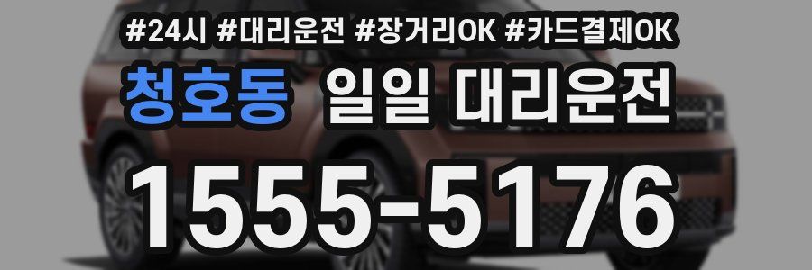 청호동 일일 대리운전