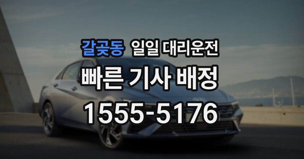 갈곶동 일일 대리운전