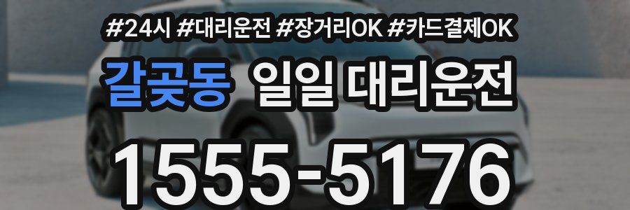 갈곶동 일일 대리운전