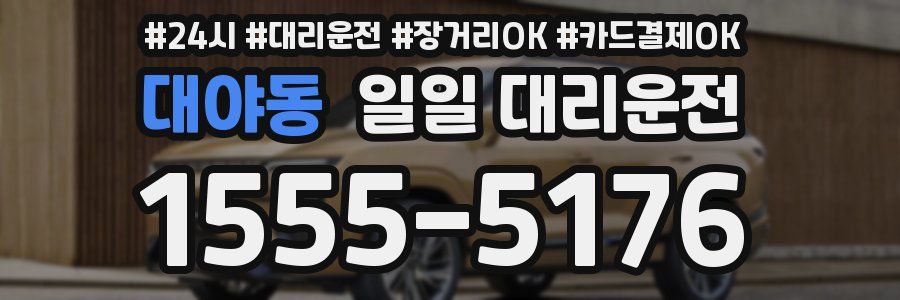 대야동 일일 대리운전