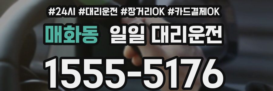 매화동 일일 대리운전