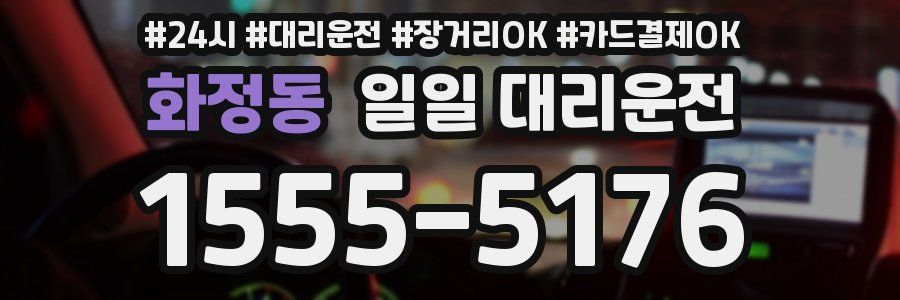 화정동 일일 대리운전