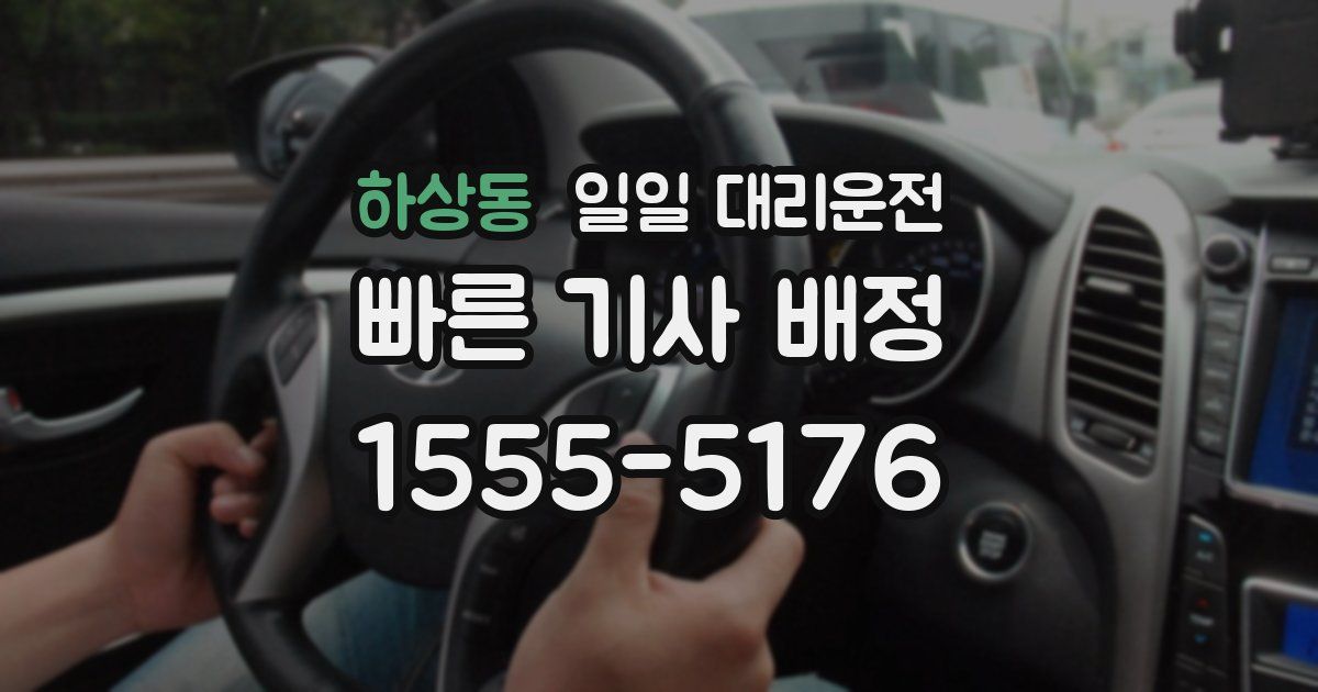 하상동 일일 대리운전