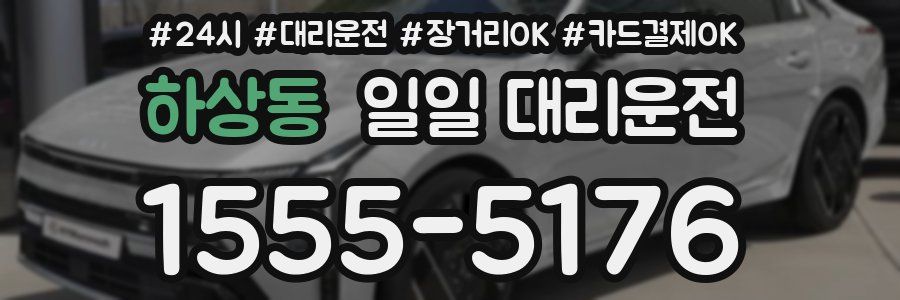 하상동 일일 대리운전