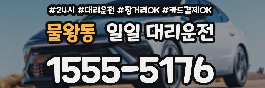물왕동 일일 대리운전