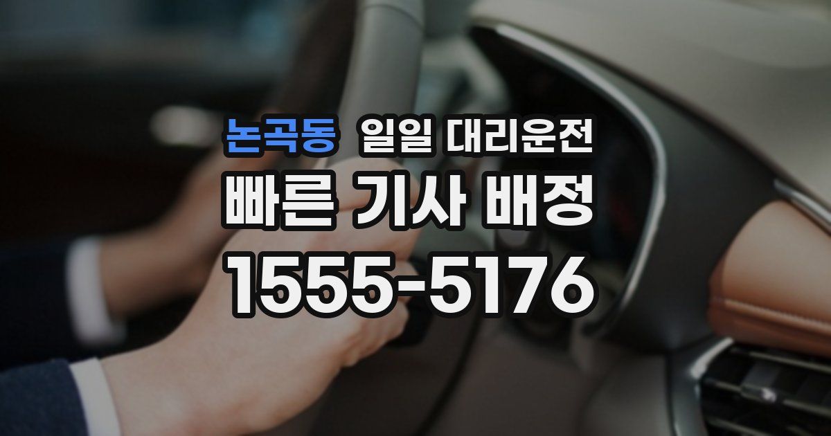 논곡동 일일 대리운전