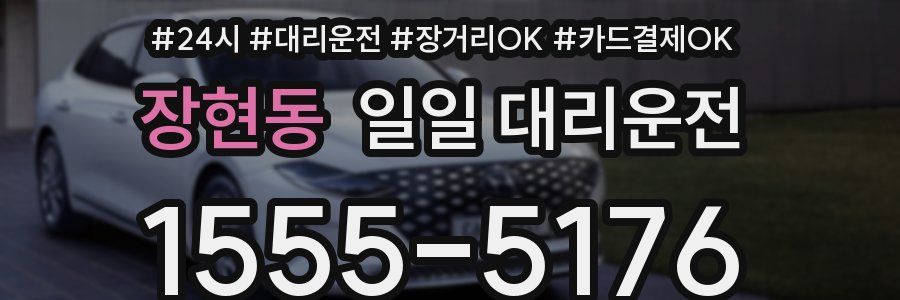 장현동 일일 대리운전