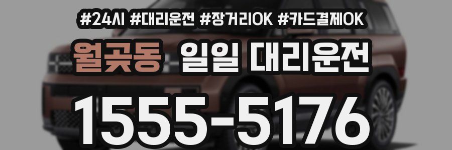월곶동 일일 대리운전