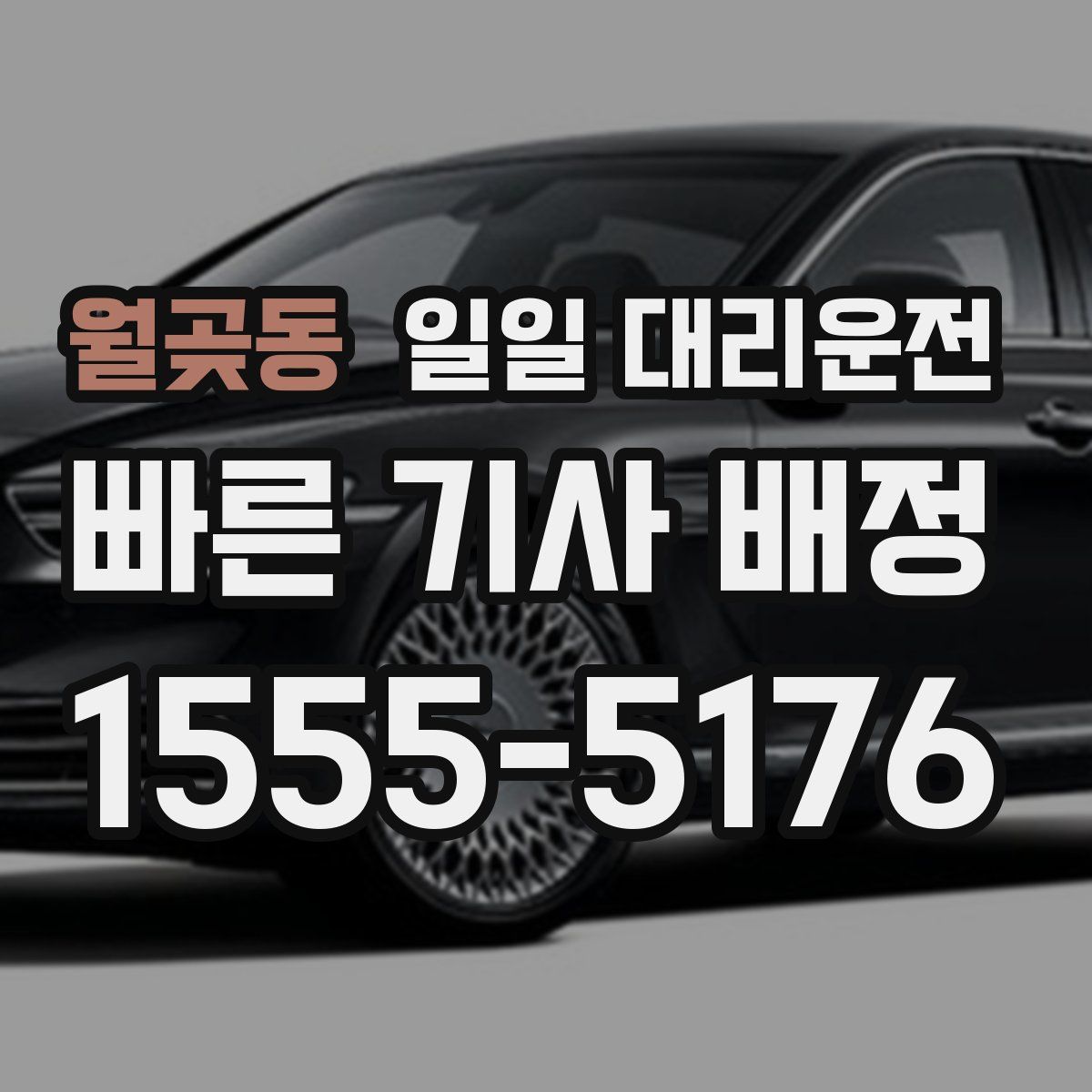 월곶동 일일 대리운전