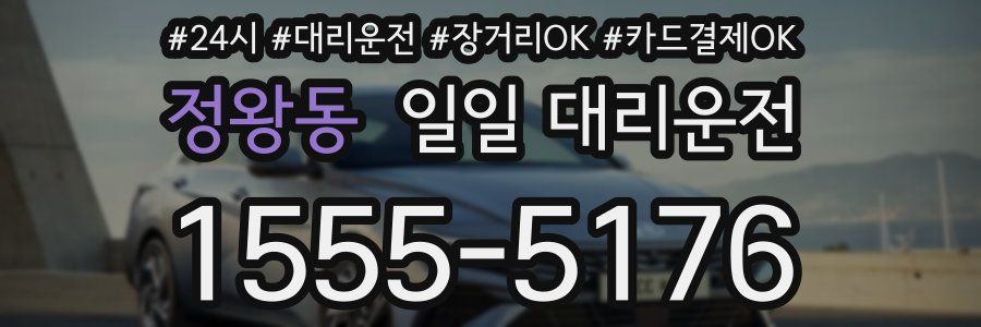 정왕동 일일 대리운전