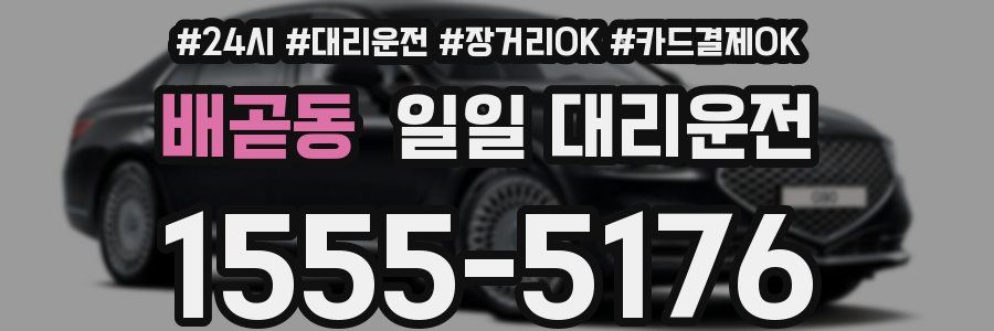 배곧동 일일 대리운전