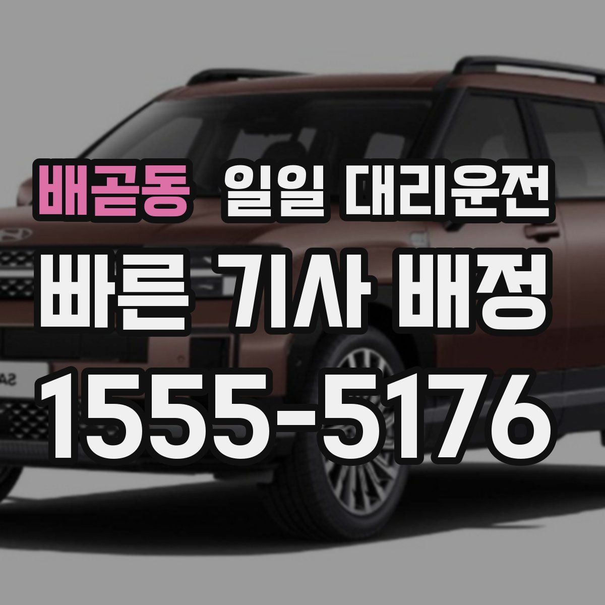 배곧동 일일 대리운전