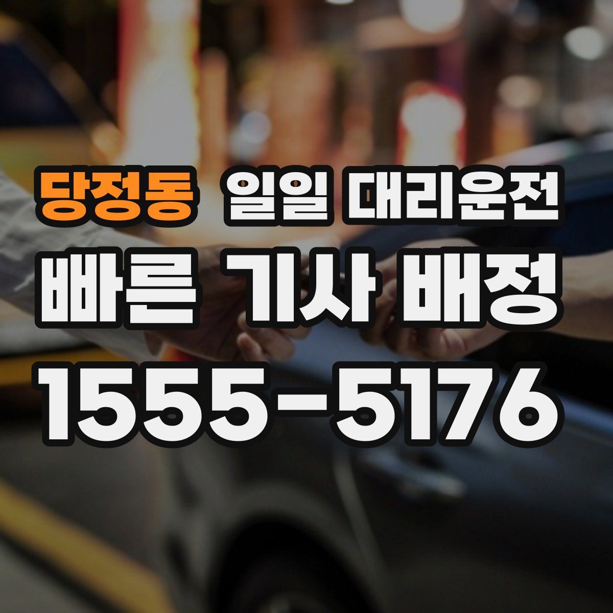 당정동 일일 대리운전
