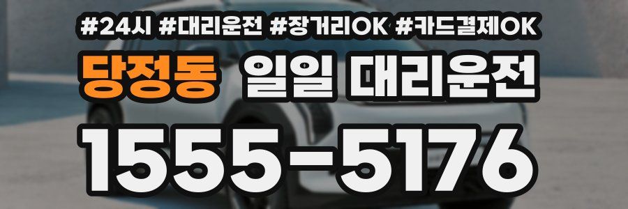 당정동 일일 대리운전