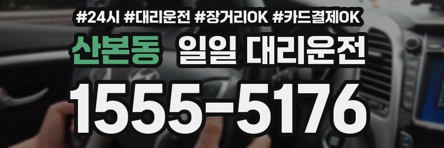 산본동 일일 대리운전