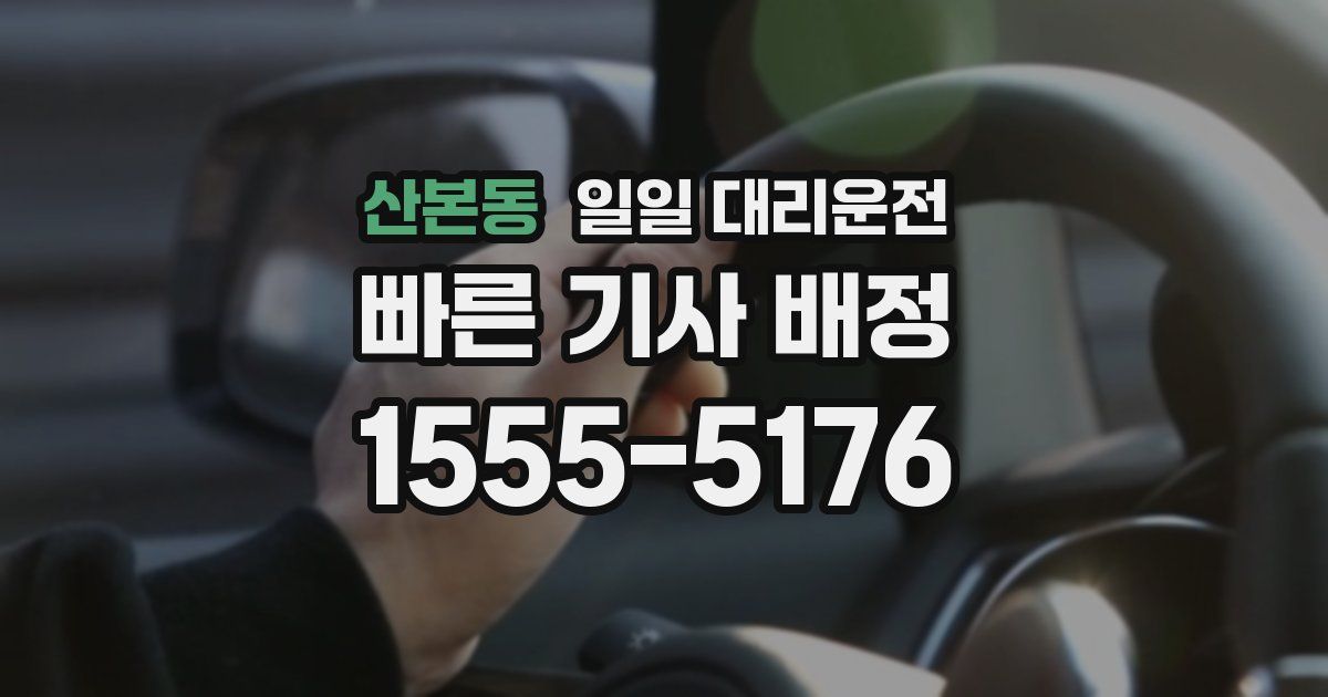 산본동 일일 대리운전