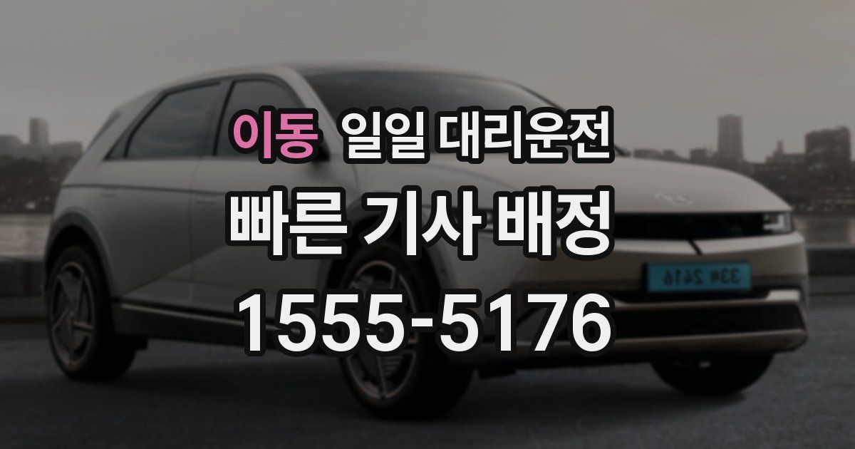 이동 일일 대리운전
