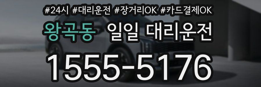 왕곡동 일일 대리운전