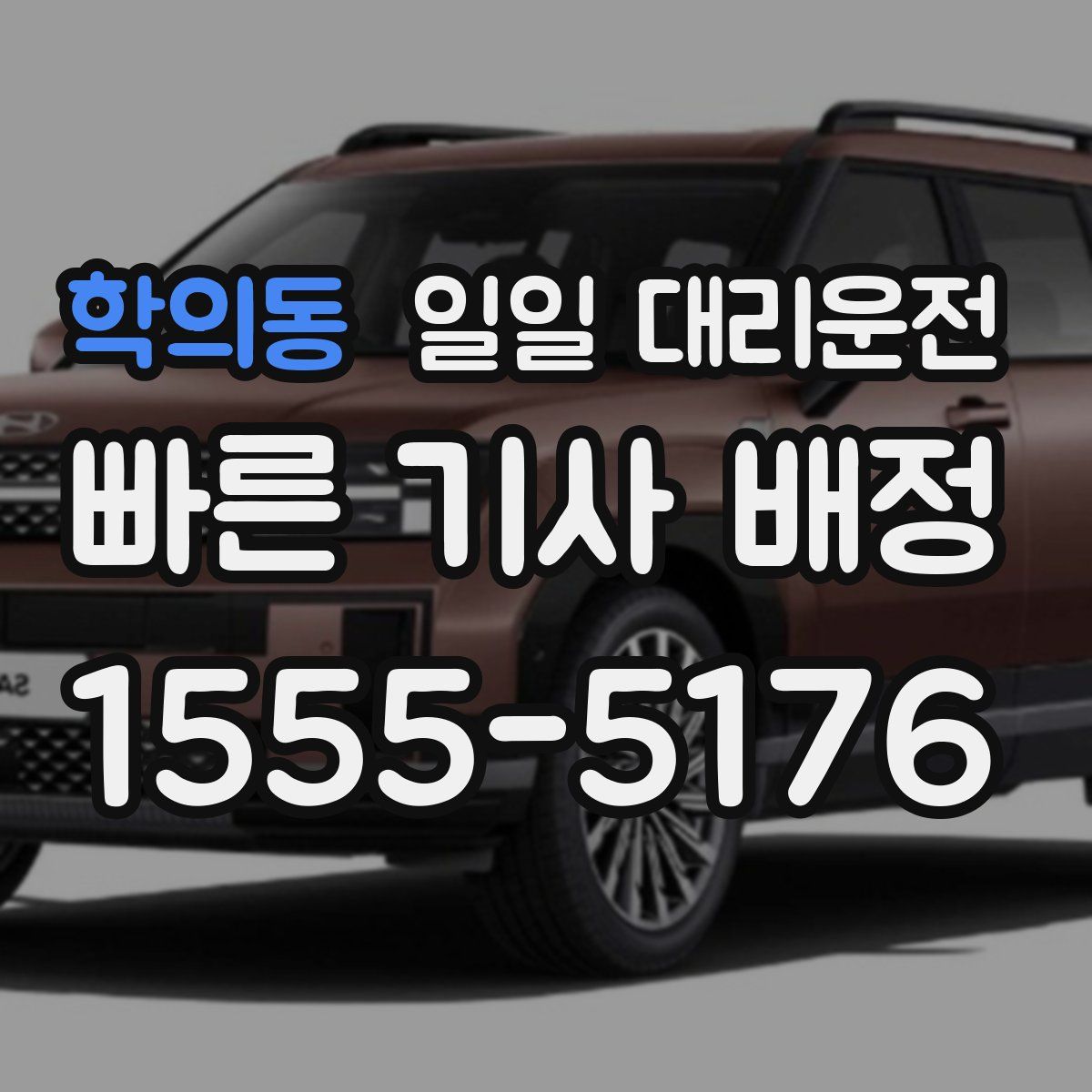 학의동 일일 대리운전