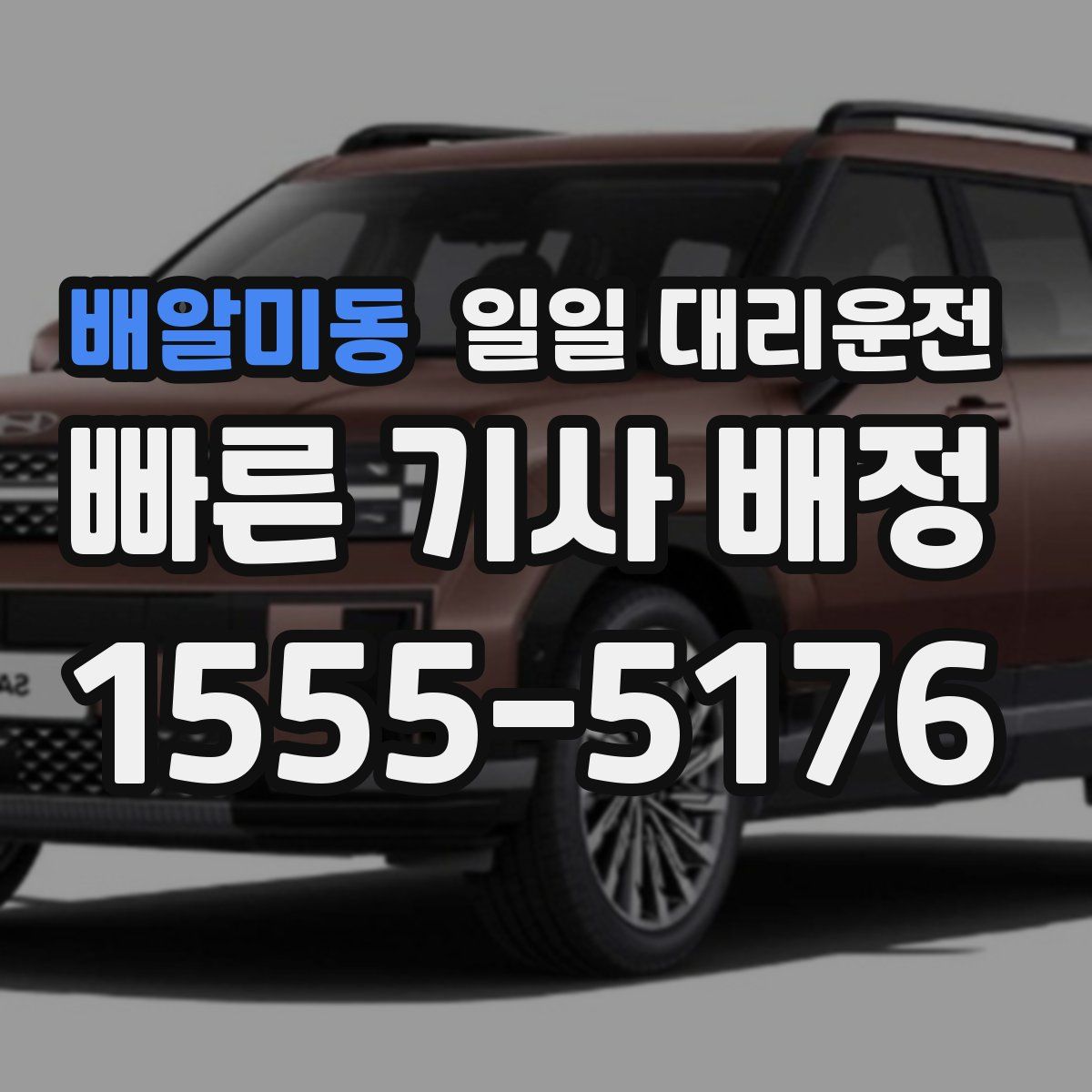 배알미동 일일 대리운전