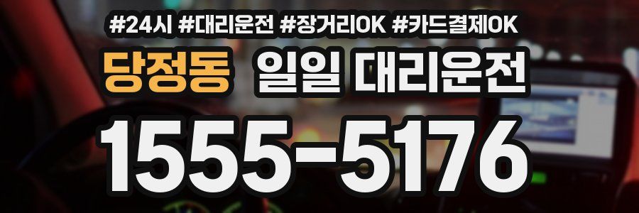 당정동 일일 대리운전