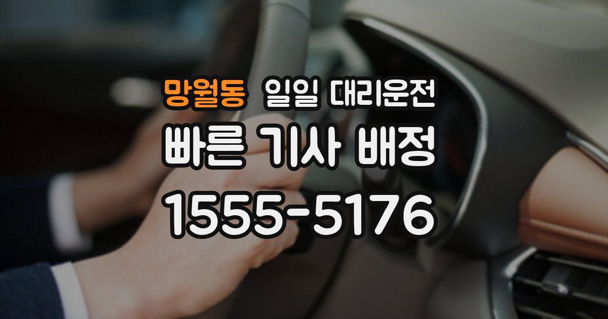 망월동 일일 대리운전