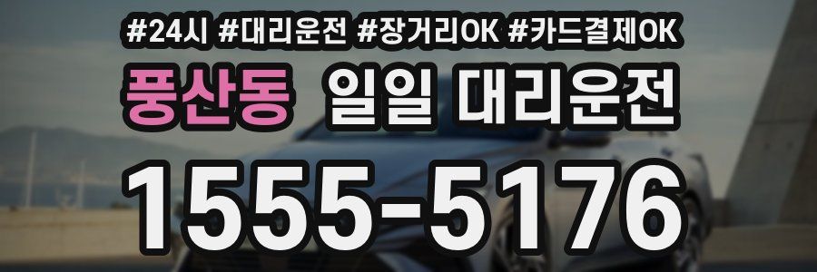 풍산동 일일 대리운전