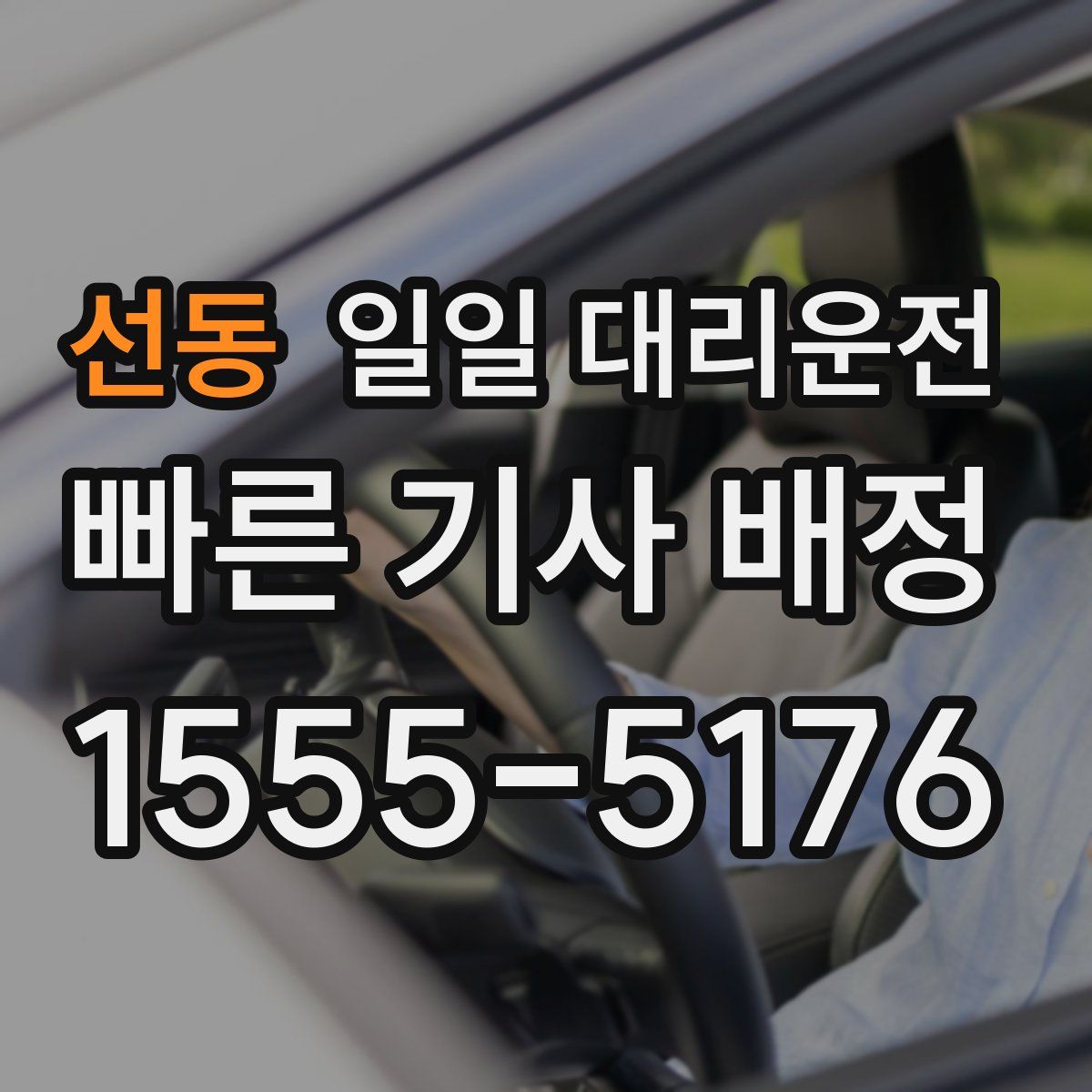 선동 일일 대리운전