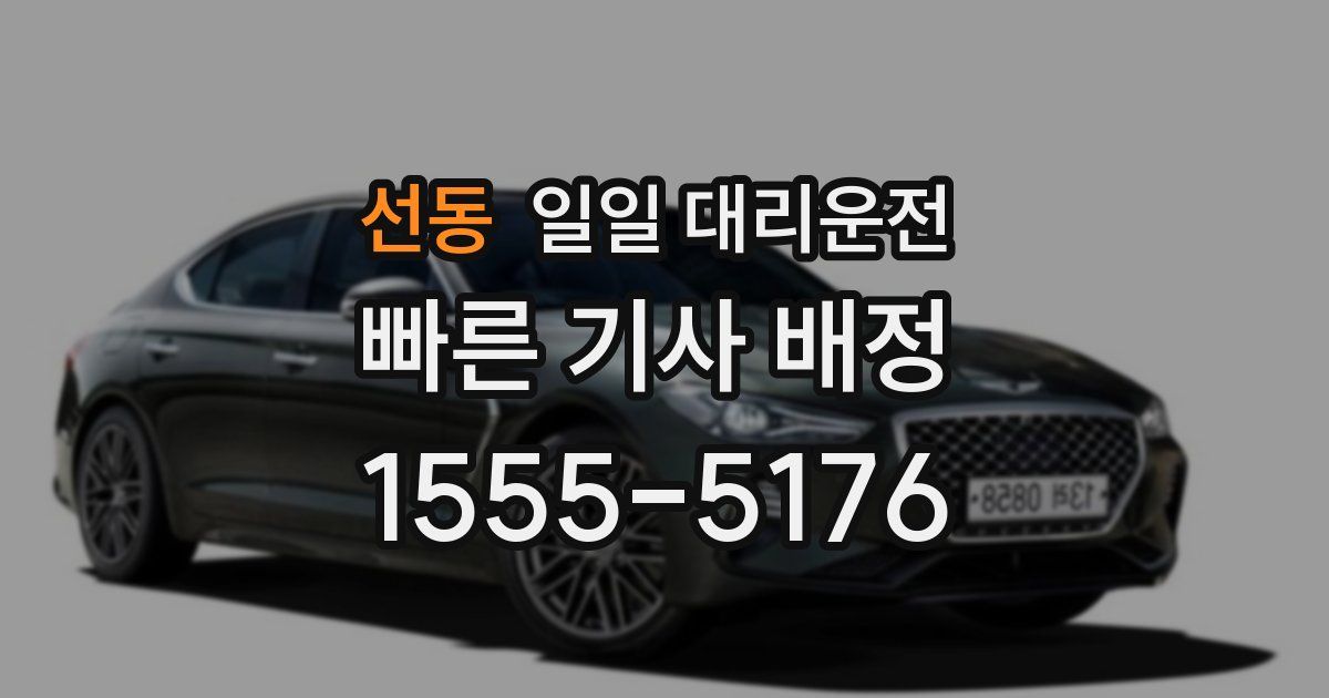 선동 일일 대리운전