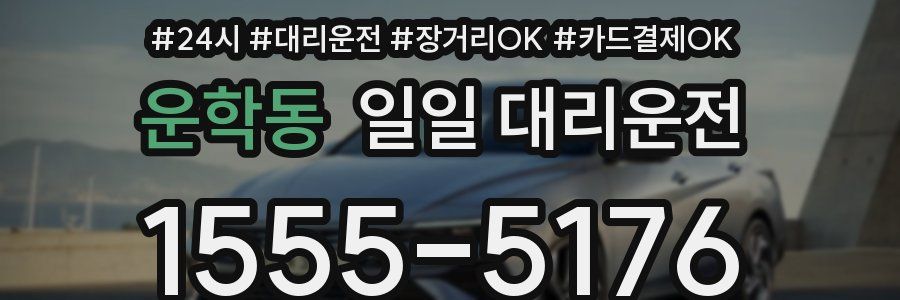 운학동 일일 대리운전