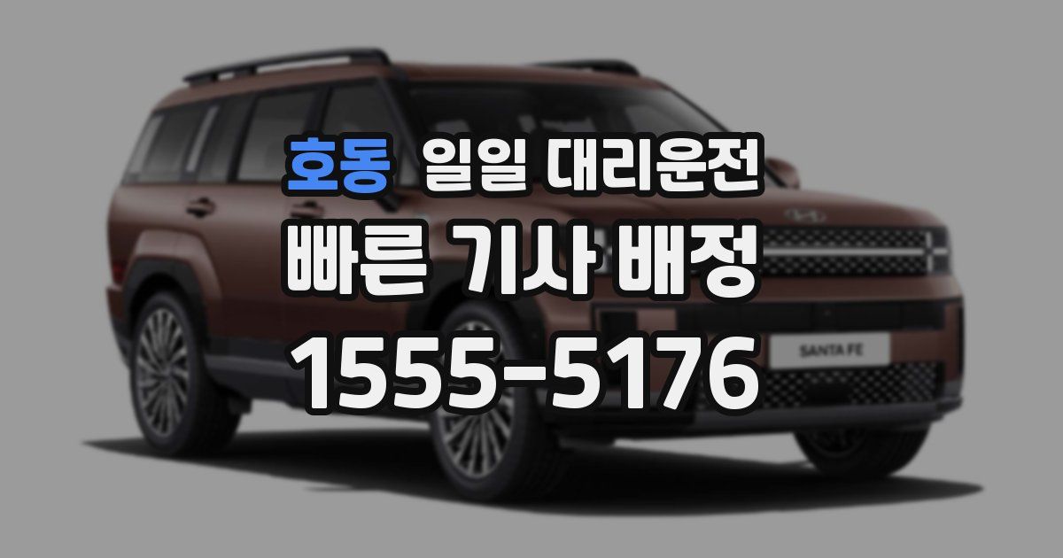 호동 일일 대리운전