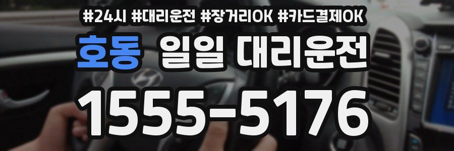 호동 일일 대리운전