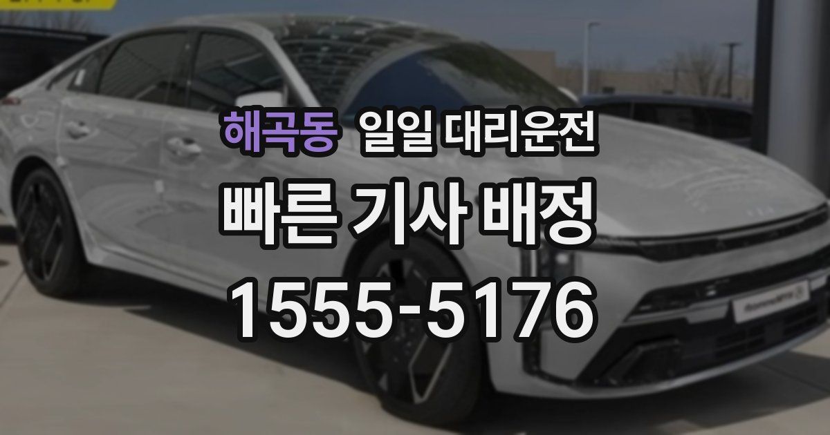 해곡동 일일 대리운전