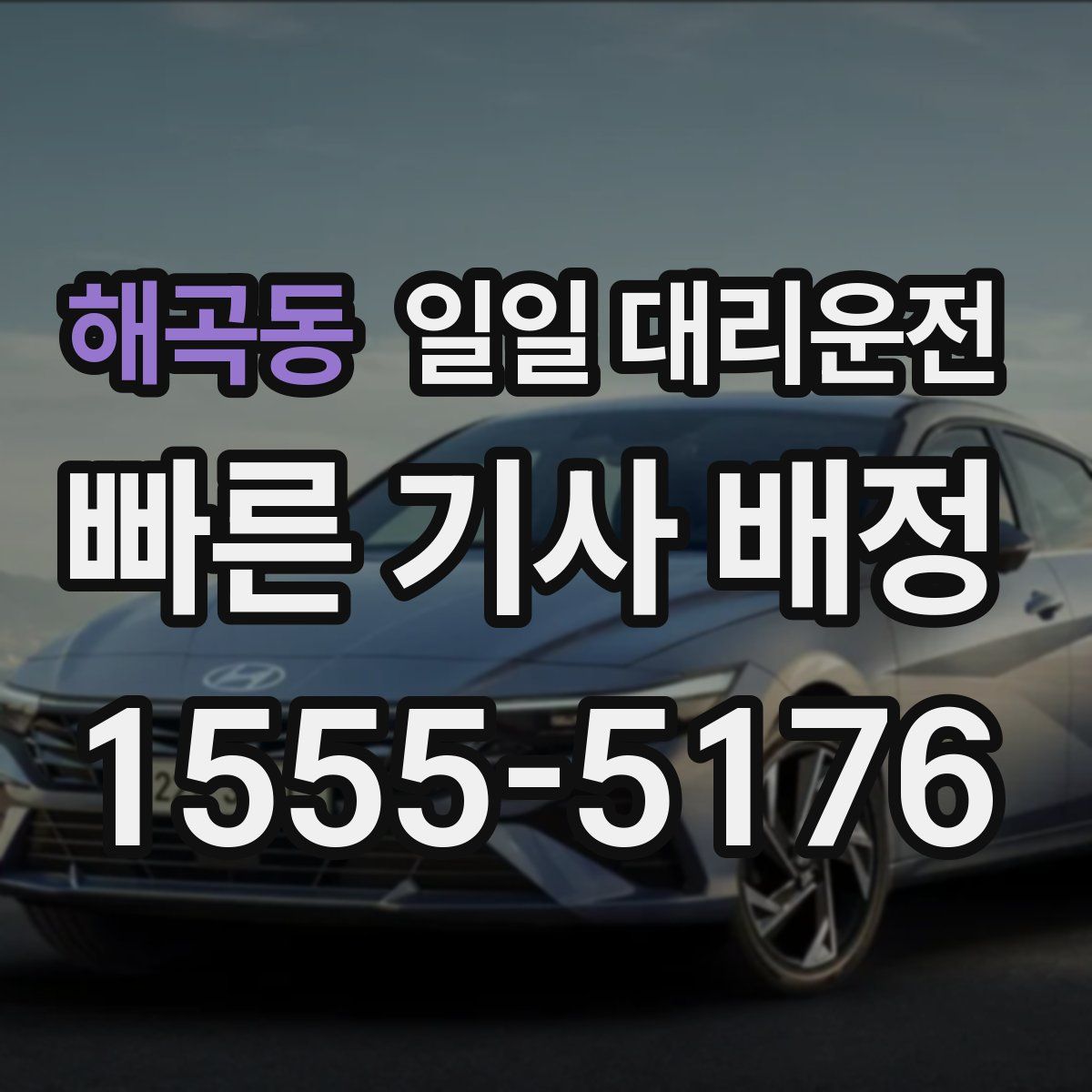 해곡동 일일 대리운전