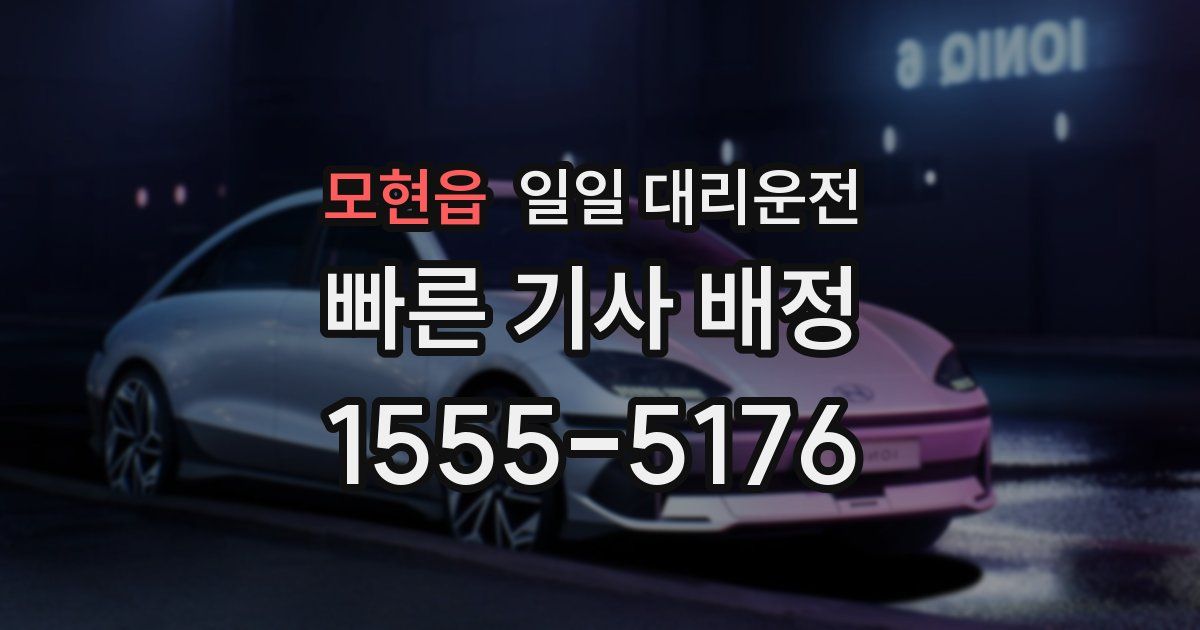 모현읍 일일 대리운전