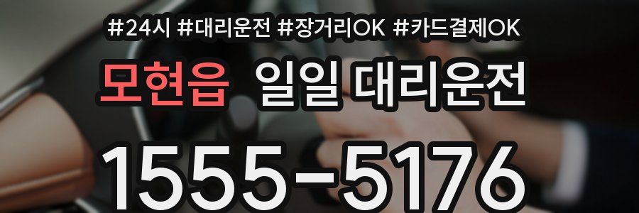모현읍 일일 대리운전