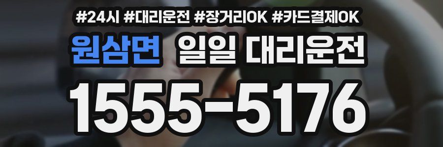 원삼면 일일 대리운전