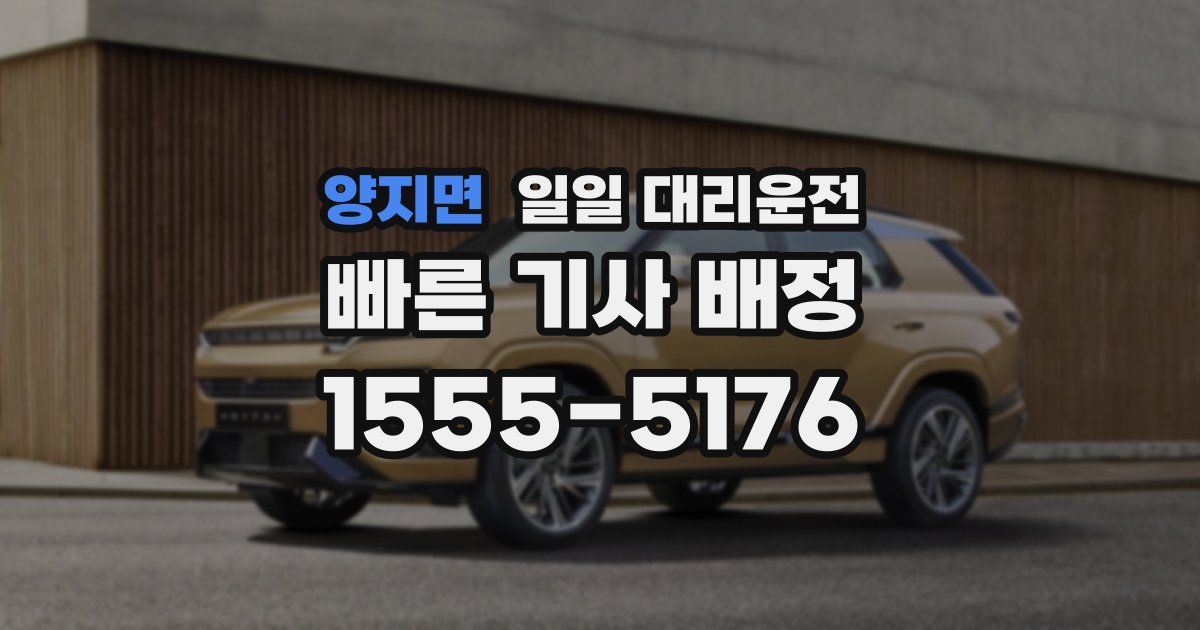 양지면 일일 대리운전