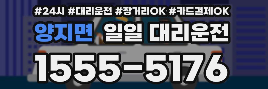 양지면 일일 대리운전